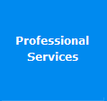 Professional Services